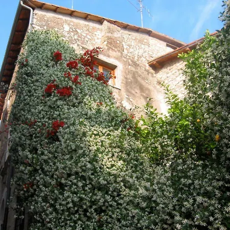 Domus Doull *